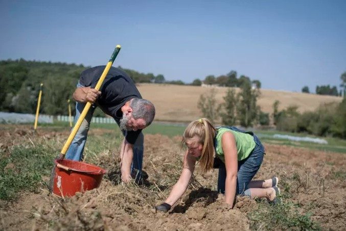 capture d’écran 2025 11 04 120030