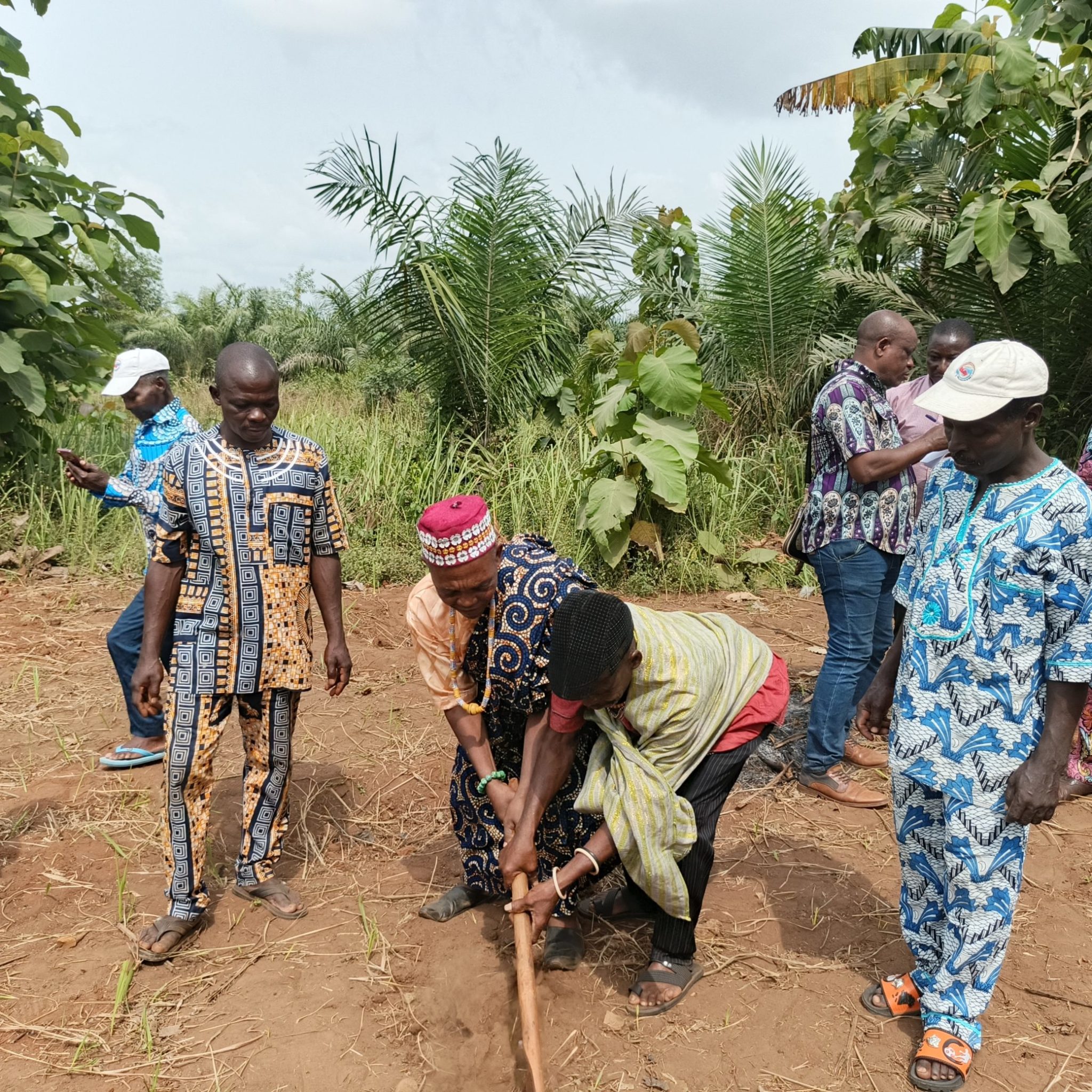 0 2944x2944 0 0 {} 0 24#